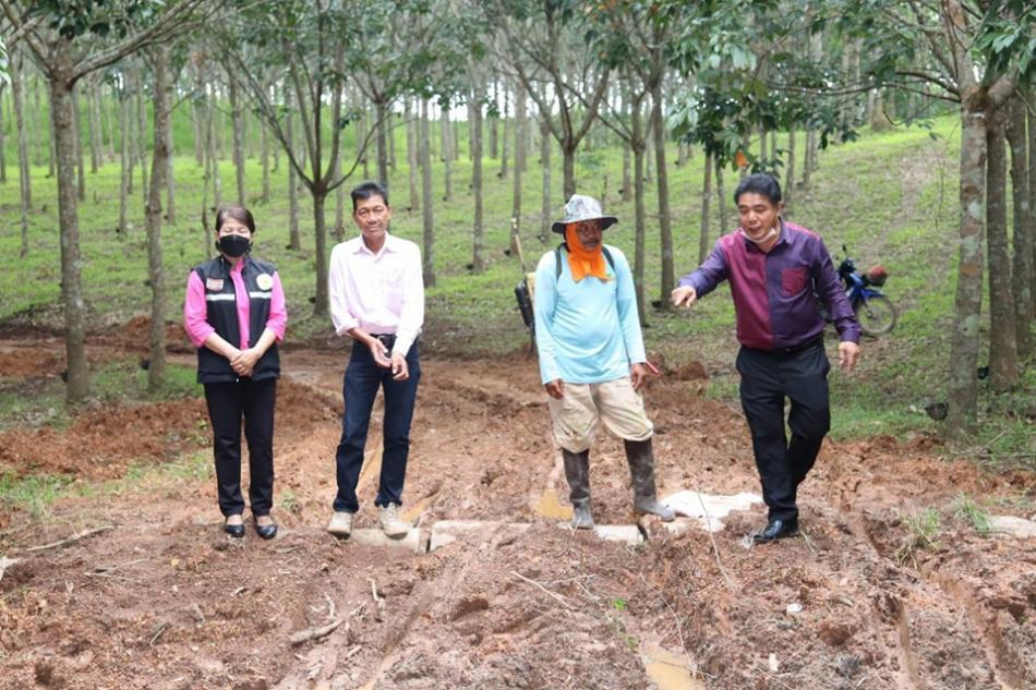 สำรวจถนนสายการเกษตร บ้านสันป่าม่วง (บ้านแม่พริก) หมู่ที่ 5