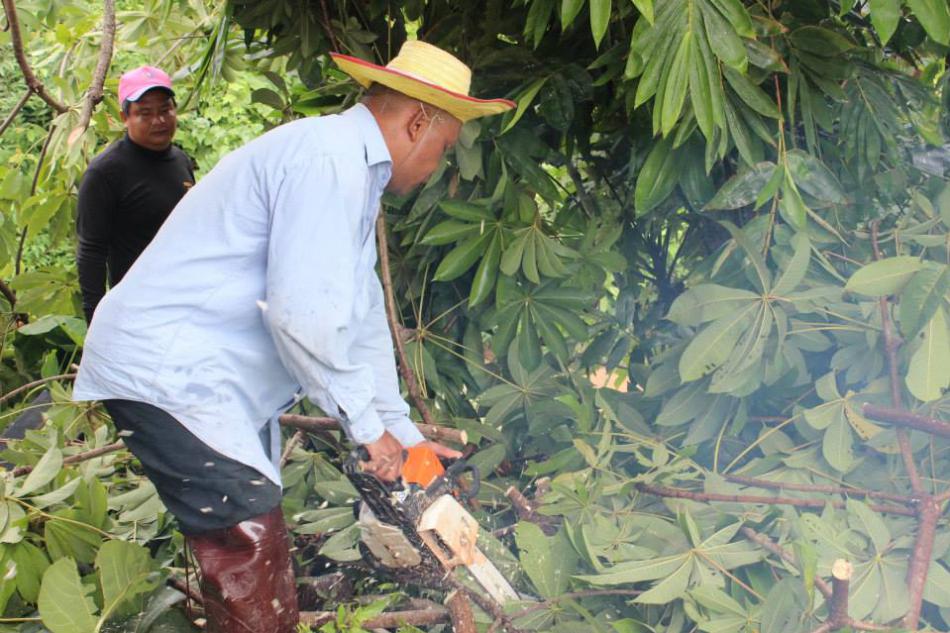 วันที่ 22 กรกฎาคม 2557 มีฝนตกในพื้นที่ตำบลหนองหล่ม จึงทำให้เกิดต้นไม้โค่นล้มภายในตำบลหนองหล่ม ทำให้ได้รับความเสียหาย