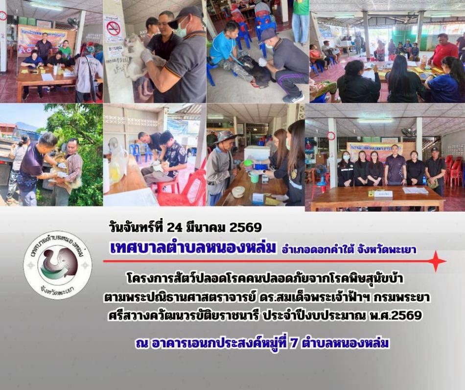 วันที่ 24 มีนาคม 2569 เวลา 13.00 น. นายศิริรับ เลิศคำ นายกเทศมนตรีตำบลหนองหล่ม มอบหมายให้ หัวหน้าสำนักปลัด งานสาธารณสุข ร่วมกับผู้ใหญ่บ้าน ผู้ช่วยผู้ใหญ่บ้านหมู่ที่7 และอาสาปศุสัตว์ประจำตำบลหนองหล่ม ลงพื้นที่ฉีดวัคซีนโรคพิษสุนัขบ้า ตามโครงการสัตว์ปลอดโรคคนปลอดภัยจากโรคพิษสุนัขบ้า ตามพระปณิธานศาสตราจารย์ ดร.สมเด็จพระเจ้าฟ้าฯ กรมพระยาศรีสวางควัฒนวรขัติยราชนารี ประจำปีงบประมาณ พ.ศ.2569 ณ อาคารเอนกประสงค์ หมู่ที่7 ตำบลหนองหล่ม