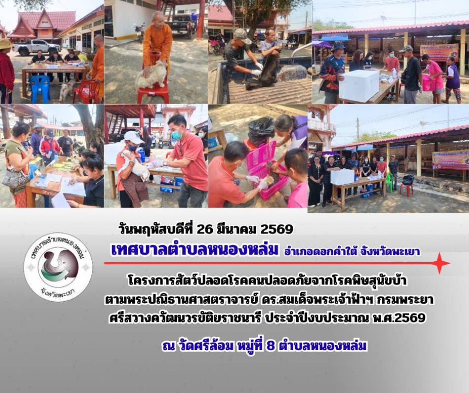 วันที่ 26 มีนาคม 2569 เวลา 13.00 น. นายศิริรับ เลิศคำ นายกเทศมนตรีตำบลหนองหล่ม มอบหมายให้ หัวหน้าสำนักปลัด งานสาธารณสุข ร่วมกับ ผู้ช่วยผู้ใหญ่บ้านหมู่ที่8 และอาสาปศุสัตว์ประจำตำบลหนองหล่ม ลงพื้นที่ฉีดวัคซีนโรคพิษสุนัขบ้า ตามโครงการสัตว์ปลอดโรคคนปลอดภัยจากโรคพิษสุนัขบ้า ตามพระปณิธานศาสตราจารย์ ดร.สมเด็จพระเจ้าฟ้าฯ กรมพระยาศรีสวางควัฒนวรขัติยราชนารี ประจำปีงบประมาณ พ.ศ.2569  ณ วัดศรีล้อม หมู่ที่8